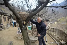 80岁大爷有个天然冰箱，10月份砍竹竿做准备，一次只能用半年图片