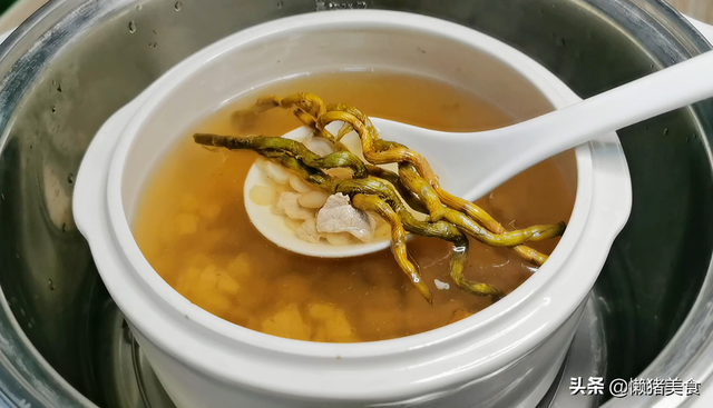 麦冬石斛花旗参花胶瘦肉能一起炖吗 2026年花旗参石斛麦冬煲瘦肉 麦冬石斛花旗参花胶瘦肉能一起炖吗 2026年花旗参石斛麦冬煲瘦肉