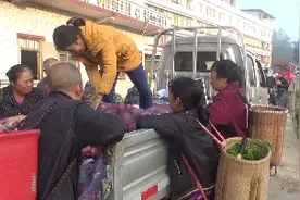 回乡创业开小货车去彭州濛阳进货，赶集摆摊卖菜生意非常好视频封面