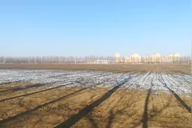 距通州中心2公里还有这么大块麦田有人知道为什么还没开发么？视频封面