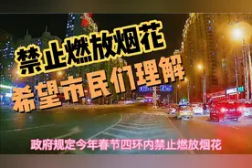 哈尔滨今年春节禁止燃放烟花爆竹，晚上出去看看有没有不听话的视频封面