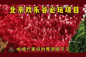 北京欢乐谷必玩项目