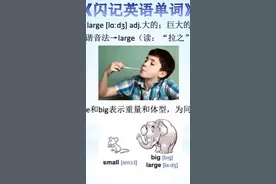 闪记单词-large 大的