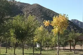 在秋阳下，脑海想着你，眼里都是你，每一次呼吸都是因为你而起