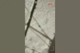 惊蛰到了，蜘蛛出来活动了。视频封面