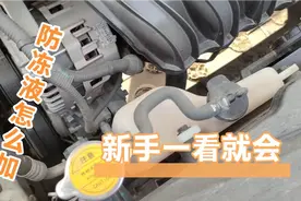 汽车防冻液怎么加，不要再傻傻的给4S店送钱了，新手一看就会