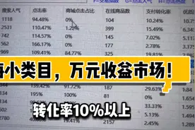 6年电商创业者，揭秘转化率10%蓝海小类目，也可以做到月入过万？