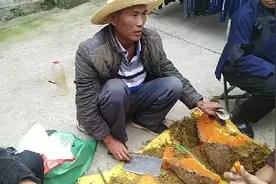 云南边远民族街市，一位大爷售卖野生壁岩蜂蜜，这东西真是野生吗视频封面