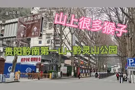 贵州贵阳黔南第一山--黔灵山公园视频封面