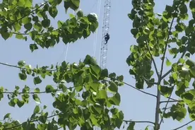 新装一个测风速的塔，一百多米徒手爬上去安装，看着腿都软了