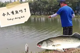 广漂爸爸高温假去海欧岛钓鱼，路亚换了鱼饵频频上勾，很过瘾.