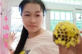 老挝姑娘，手摘蜂巢，生吃蜂蛹，大家有这样吃过吗？视频封面