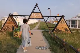 在中国最古老的蒙古部落，来自河南郑州的阿姨翩翩起舞视频封面