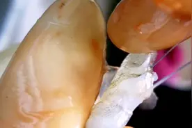 在市场买回的鲜虾🦐不能直接做，需要这样处理一下