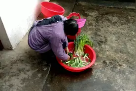 实拍河南信阳过年，大家注重吃中午饭，这习俗你见过吗？视频封面