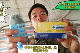 小吴养殖，雏鸡第四天做球虫疫苗，做好这几点成活率高达99%视频封面