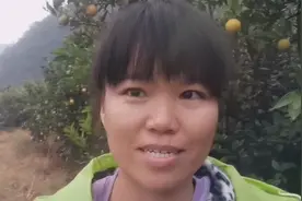 广西桂林砂糖橘又黄又甜，预测下个月上市，现在蜜香橙也成熟了视频封面