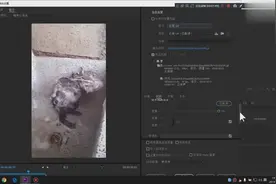 6分钟学会用pr批量制作GIF动态图，非常简单，只需要转换一下格式视频封面