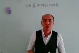 生肖兔和饰品的关系视频封面