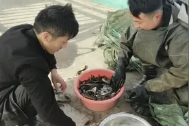 南阳小伙把泥鳅龙虾放一起搞莲鱼共养，大家来看下产量怎么样视频封面