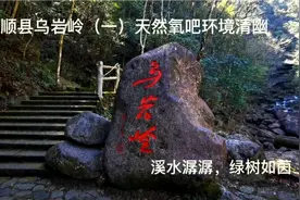 泰顺自驾游第三天乌岩岭（一）天然氧吧环境清幽空气清香溪水潺潺视频封面