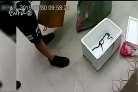 男子买510颗眼镜蛇蛋来泡酒，结果天气太热，蛇蛋里孵出25条蛇视频封面