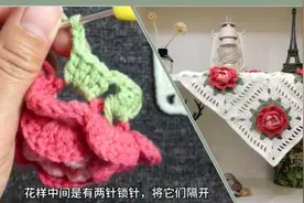 钩针编织教程，花朵毯子（一）妥妥的颜值担当，还可以用来做装饰