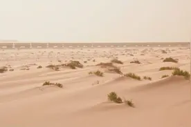 震惊！撒哈拉沙漠里的铁矿石运输列车视频封面