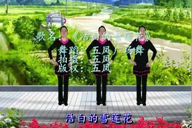 山歌《洁白的雪莲花》优美动人，美女舞姿更是醉人，32步简单好学