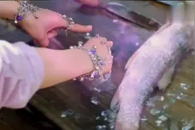 紫霞仙子要让死鱼复活，鱼没救活却把渔家辛苦刮下的鱼鳞复原了视频封面