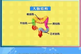 大肠的结构和功能是怎样的？为什么肠癌的发病率越来越高！听黄…