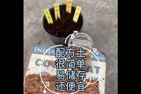 最简单的花卉月季配方土 便宜好用易保存视频封面