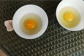 如何区别土鸡蛋和饲料鸡蛋？农村小伙教你几招视频封面