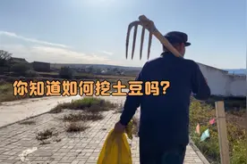 土豆到底是怎么从土里出来的，你真的知道吗