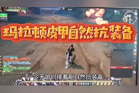 怀旧服盗贼刷玛拉顿自然抗装备