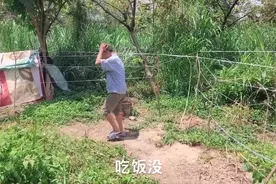 台湾大伯流浪深圳靠捡垃圾为生，大伯说很喜欢大陆生活两岸一家亲视频封面