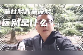 草甘膦和草铵膦，谁才是蕞强除草剂。看完就懂了视频封面