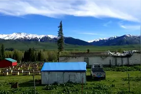 新疆是个好地方，养蜂小镇视频封面