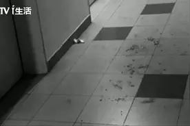 杀人后发视频，SOHO现代城小区发生离奇命案视频封面