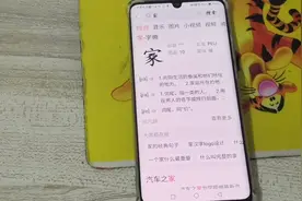头条搜索框，还有字典，词典，成语词典功能视频封面