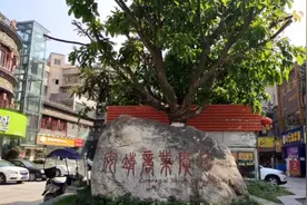 成都这个镇有家口碑极佳的骨科诊所，自己挂号，排队让你怀疑人生视频封面