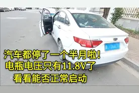 国产汽车长时间停放，电瓶电压只有11.8伏了，看打工小伙能否启动视频封面
