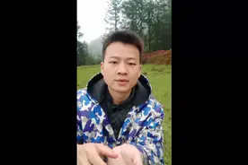 纯天然绿色代表——水牛花视频封面