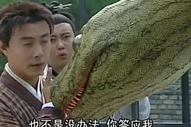莽蛇没有牙齿，原因是张三丰救过它的缘故，
