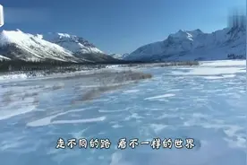 两只老鹰捕捉到一头狼，野狼毫无招架之力，镜头记录全过程视频封面