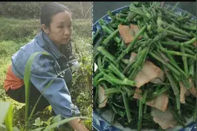 广东龙川以前没人要的野菜，现在成了香饽饽，吃一次就忘不了。视频封面