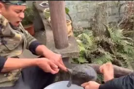 小伙被甲鱼咬住手指死不松口甲鱼头被砍下来也不松口差点手指断了视频封面