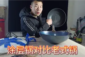 涂层锅总是掉涂层，对人体又害吗视频封面