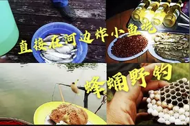 周末野钓被蜂蛰，但小伙感觉属这次出钓最高兴，爽意极了。视频封面