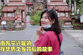 海南有个华侨小镇，风景好似东南亚，带你走进海南万宁兴隆镇视频封面
